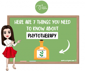 7 things to know about phytotherapy