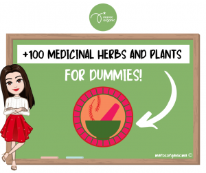 medicinal plants & herbs