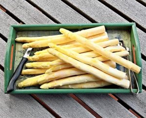 Asparagus fresh in yellow color in a green tray with a knife on the side