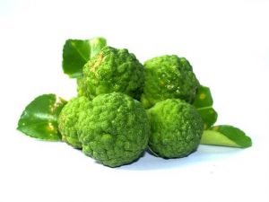 Bergamot orange fruit in green color