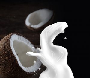 coconut milk out of a coconut shell