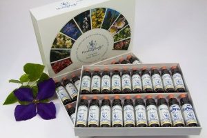 Picture of a set of bach flower essential oil