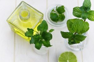 Mint leaves and mint oil in a container