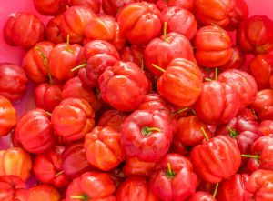 Acerola in red-orange color