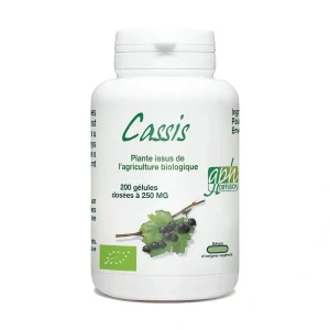 cassis 250 mg 200 gélules GPH complément alimentaire antioxydant