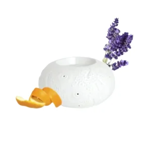 Diffuseur à chaleur douce calvi puressentiel, diffuseur chaleur douce