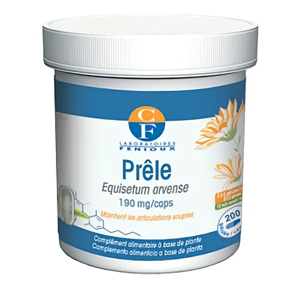 Prêle Equisetum arvense Laboratoires Fenioux plante